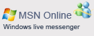 MSN Online